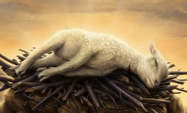 DOES BLOOD SACRIFICE ATONE FOR OUR SINS? THE BIBLE DECODED